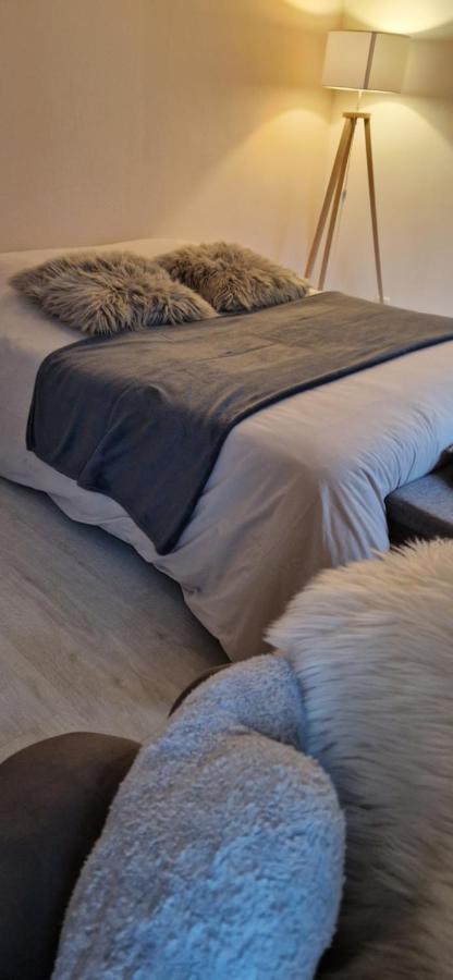 Cosy Appartement Complet centre-ville Montbéliard Esterno foto